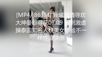 气质商务模特干破套子不肯继续 含泪打飞机