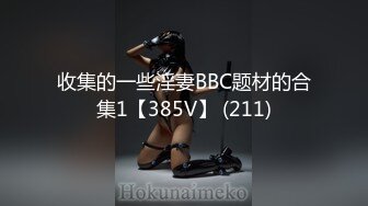 收集的一些淫妻BBC题材的合集1【385V】 (211)