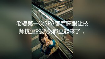 私房四月最新流出魔手外购【精品厕拍】多场景偷拍夜总会女神（极品靓妹） (4)