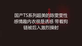 国产TS系列超美的陈雯雯性感情趣内衣很是诱惑 带着狗链被后入激烈操射