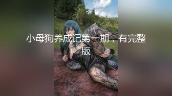 小母狗养成记第一期，有完整版