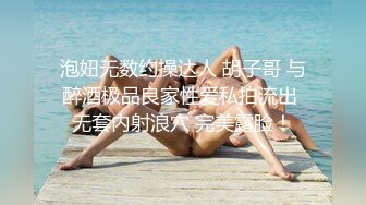 骚老婆黑丝开裆裤后入喷水