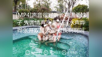 女友的淫荡对话