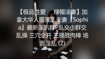 【极品性爱❤️绿帽淫妻】加拿大华人圈淫乱夫妻『Sophia』最新淫趴群P乱交③群交乱操 三穴全开 三骚战肉棒 场面淫乱 (2)