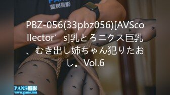 PBZ-056(33pbz056)[AVScollector’s]乳とろニクス巨乳、むき出し姉ちゃん犯りたおし。Vol.6