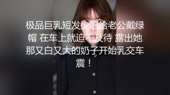 D罩杯美乳小骚货 伸进内裤摸穴 搞得小脸红扑扑 后入大肥臀