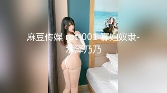 麻豆传媒 rpt-001 寡妇奴隶-水泽乃乃