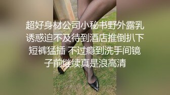 超好身材公司小秘书野外露乳诱惑迫不及待到酒店推倒扒下短裤猛插 不过瘾到洗手间镜子前继续真是浪高清