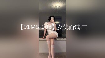 [MP4]XKGA041 星空无限传媒 垂涎已久的美女室友 梅子 VIP0600