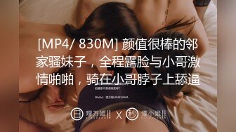 星空无限传媒贺岁片回家过年七步曲之回家的诱惑EP4XK8109 主人请接受我的小穴