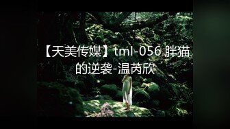 【天美传媒】tml-056 胖猫的逆袭-温芮欣