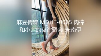 麻豆传媒 MDHT-0005 肉棒和小穴的交谊聚会-宋南伊