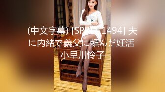 (中文字幕) [SPRD-1494] 夫に内緒で義父に頼んだ妊活 小早川怜子