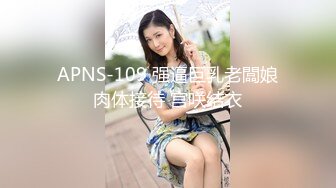 APNS-109 强逼巨乳老闆娘肉体接待 宫咲结衣