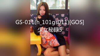 GS-011(h_101gs011)[GOS]少女秘録5