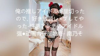 俺の推しアイドルが里切ったので、好き放题レ×プしてやった-性悪アンチのアイドル强●动画の一部始终- 南乃そら