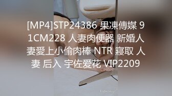 [MP4]STP24386 果凍傳媒 91CM228 人妻肉便器 新婚人妻愛上小偷肉棒 NTR 寢取 人妻 后入 宇佐爱花 VIP2209