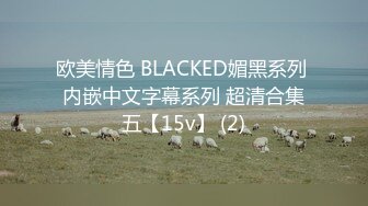 欧美情色 BLACKED媚黑系列 内嵌中文字幕系列 超清合集五【15v】 (2)