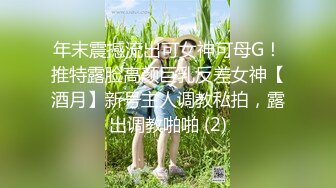 年末震撼流出可女神可母G！推特露脸高颜巨乳反差女神【酒月】新号主人调教私拍，露出调教啪啪 (2)