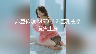 麻豆传媒 MSD112 巨乳按摩惹火上身