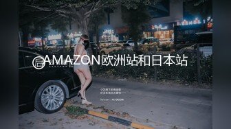 AMAZON欧洲站和日本站