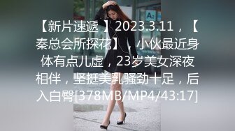 数百位网红良家母狗性爱甄选 淫乱女狗群交乱操 美乳篇 完美露脸