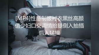 [MP4]性感制服衬衣黑丝高颜值少妇口交调情抬腿侧入抽插后入猛操