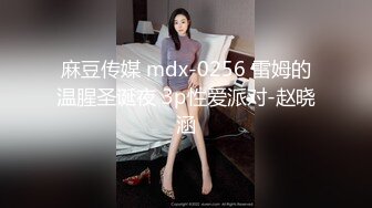 麻豆传媒 mdx-0256 雷姆的温腥圣诞夜 3p性爱派对-赵晓涵