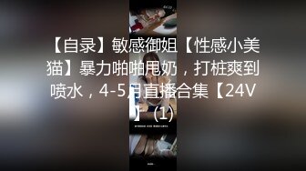 【自录】敏感御姐【性感小美猫】暴力啪啪甩奶，打桩爽到喷水，4-5月直播合集【24V】 (1)