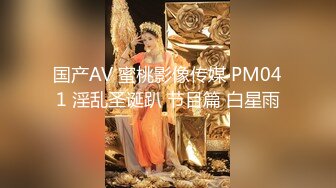 国产AV 蜜桃影像传媒 PM041 淫乱圣诞趴 节目篇 白星雨