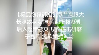 纹身妹子和黑社会大哥，卧室中花样操逼，女上位