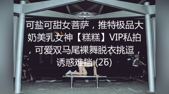 可盐可甜女菩萨，推特极品大奶美乳女神【糕糕】VIP私拍，可爱双马尾裸舞脱衣挑逗，诱惑难挡 (26)