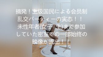 摘発！上级国民による会员制乱交パーティーの実态！！ 未性年者(女子○生)まで参加していた密室での一部始终の映像が流出！！