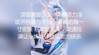 白百合换脸AI-女仆服务第一季