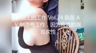 新员工的工作 Vol.24 我在 AV 制造商工作，因为我真的很喜欢性