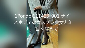 1Pondo 111423_001 ナイスボディのコスプレ美女と3P！ 目々澤めぐ