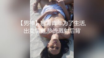 狐尾正太打桩机