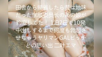 田舎から帰省したら昔は地味だった学级委员长のあの娘が豹変してた！ 1泊2日で10発中出しするまで何度も勃起させちゃうヤリマンGALビッチとの思い出 二叶エマ