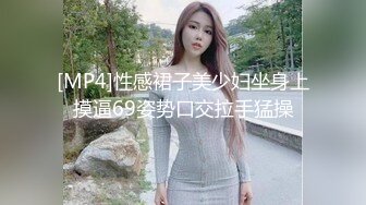 [MP4]性感裙子美少妇坐身上摸逼69姿势口交拉手猛操