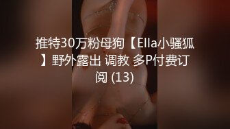 推特30万粉母狗【Ella小骚狐】野外露出 调教 多P付费订阅 (13)