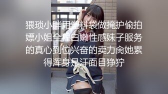 猥琐小胖用塑料袋做掩护偸拍嫖小姐全程白嫩性感妹子服务的真心到位兴奋的卖力肏她累得浑身是汗面目狰狞