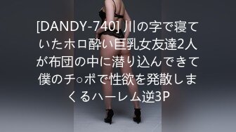 [DANDY-740] 川の字で寝ていたホロ酔い巨乳女友達2人が布団の中に潜り込んできて僕のチ○ポで性欲を発散しまくるハーレム逆3P